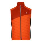 -71% Dare2b  Dare2b Heren touring gewatteerd lichtgewicht gi, Kleding | Heren, Bodywarmers, Verzenden, Nieuw, Oranje