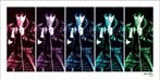 Kunstdruk Elvis Presley 68 Comeback Special Pop Art 100x50cm, Verzenden, Nieuw