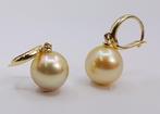 10x11mm Golden South Sea Pearls - Oorbellen Geel goud, Sieraden, Tassen en Uiterlijk, Antieke sieraden