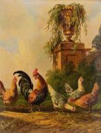 Albertus Verhoesen (1806-1881) - Chickens and hens, Antiek en Kunst