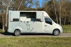 Renault Filovan Master  Horsetruck, Verzenden, Gebruikt