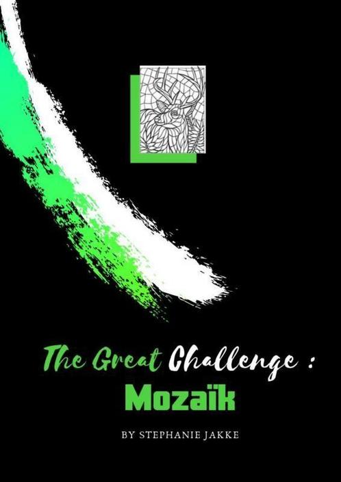 volwassenen kleurboek De Grote Uitdaging : MOZAÏK, Boeken, Kunst en Cultuur | Beeldend, Zo goed als nieuw, Verzenden