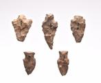 Late archaic-Woodland Vuursteen 5 pijlpunten (Zonder