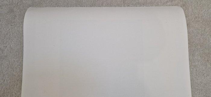 Francq, Philippe - 1 Silkscreen - Largo Winch - Aventure, Boeken, Strips | Comics