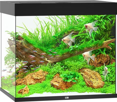 Lido 200 LED Zwart, Dieren en Toebehoren, Vissen | Aquaria en Toebehoren, Nieuw, Ophalen of Verzenden