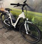 Pegasus Opero met Automatisch Schakelen en Riem-aandrijving, Fietsen en Brommers, Elektrische fietsen, Overige merken, Ophalen of Verzenden