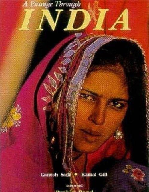 Passage Through India 9788174361141 Ganesh Saili, Boeken, Overige Boeken, Gelezen, Verzenden