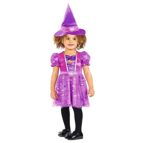 Kind Kostuum Paw Patrol Skye Witch, Hobby en Vrije tijd, Feestartikelen, Nieuw, Verzenden