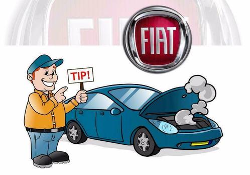 Fiat: Bekijk OBD / OBD2 systemen bij Smeets Solutions, Auto diversen, Overige Auto diversen, Verzenden