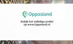 Ik ben Nov en ik zoek oppaswerk in Zijdewind.