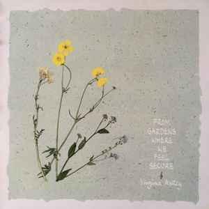 LP gebruikt - Virginia Astley - From Gardens Where We Fee..., Cd's en Dvd's, Vinyl | Klassiek, Zo goed als nieuw, Verzenden