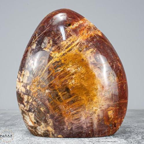 Vrije vorm van versteend hout handgepolijst- 2121.36 g, Verzamelen, Mineralen en Fossielen