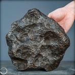 Zeldzame natuurlijke meteoriet Campo Del Cielo IJzer