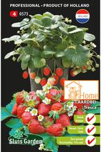 Aardbei Tresca: Kweek Zoete, Heerlijke en Sappige Aardbeien, Verzenden