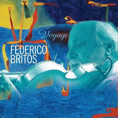 cd - Federico Britos - Voyage, Cd's en Dvd's, Cd's | Jazz en Blues, Zo goed als nieuw, Verzenden