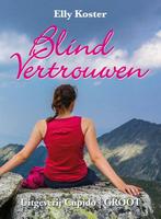 Blind vertrouwen 9789462041455 Elly Koster, Boeken, Romans, Verzenden, Gelezen, Elly Koster