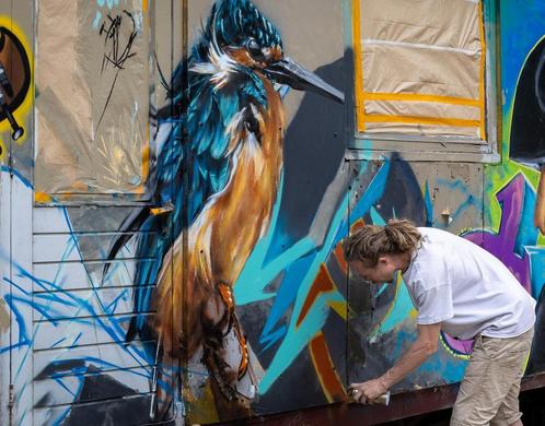Graffiti | Muurschilderingen | Streetart, Diensten en Vakmensen, Kunstenaars en Portretschilders, Schilderkunst, Tekeningen, Uitvoerende kunsten