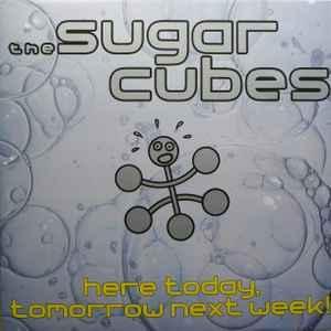 LP gebruikt - The Sugarcubes - Here Today, Tomorrow Next..., Cd's en Dvd's, Vinyl | Rock, Zo goed als nieuw, Verzenden