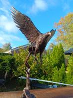 turner - Beeld, adelaar in vlucht - 50 cm - marmer brons