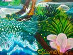 Claudine Suret-Canale - La Laponie