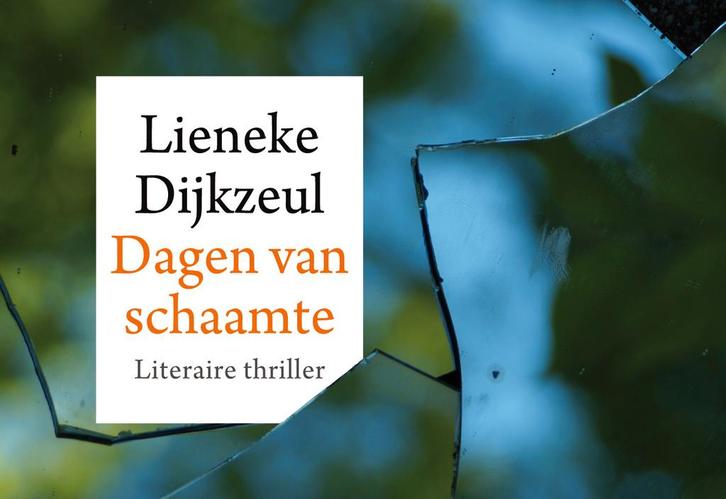 Dagen van schaamte / Dwarsligger / 435 9789049805098, Boeken, Thrillers, Gelezen, Verzenden