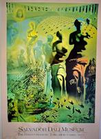 Salvador Dali - Salvador Dali Museum - The Hallucinogenic, Antiek en Kunst