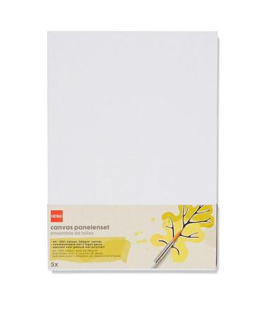 HEMA Canvas panelenset A4 - 5 stuks beschikbaar voor biedingen