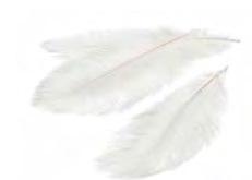 Struisvogel veren Wit 40-45 cm 3 stuks Ostrich feather, Hobby en Vrije tijd, Knutselen, Nieuw, Ophalen of Verzenden