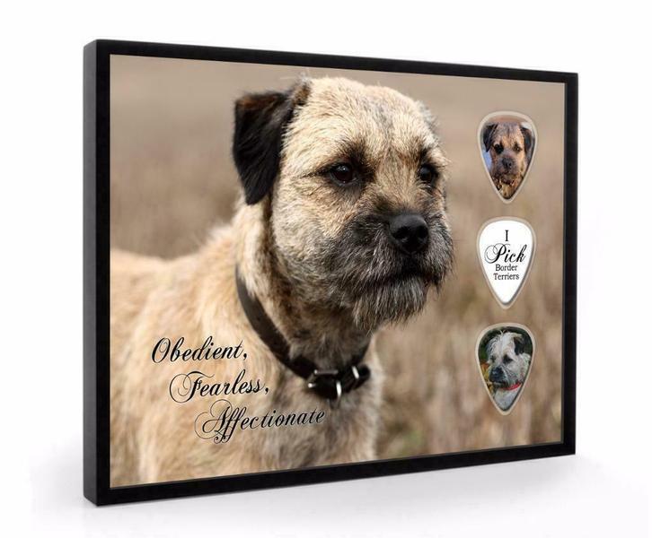 Border Terrier hond plectrumdisplay, Verzamelen, Dierenverzamelingen, Overige typen, Nieuw, Hond of Kat, Ophalen of Verzenden