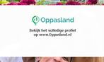 Vladimir zoekt een oppas in Amsterdam voor 1 kind op woen...