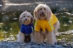 Tweedekans | Dutchwide - Hondenjas - Regenjas Hond - Blauw -, Ophalen of Verzenden, Zo goed als nieuw