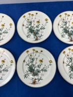 Villeroy & Boch - Tafelservies (6) - Botanica - Vitro