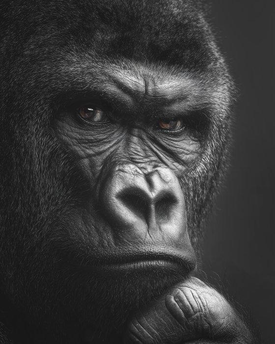 Rudy barret - Origin Prime - XL, Antiek en Kunst, Kunst | Designobjecten