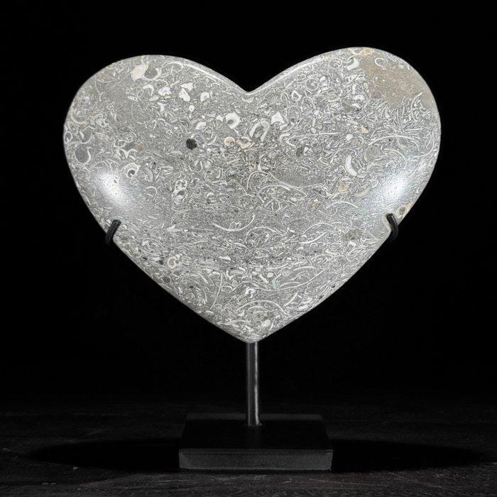 Decoratief ornament (2) - NO RESERVE PRICE - Pair of, Antiek en Kunst, Kunst | Designobjecten