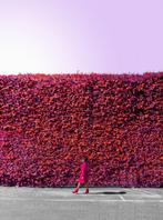 Téber - Firewall · No Reserve, Antiek en Kunst