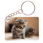 Sleutelhanger 6x4cm - Kittens op Onderzoek-Ontdekkingstocht, Ophalen of Verzenden, Nieuw