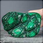 Natuurlijke zeer zeldzame gepolijste drakenhuid. Malachiet
