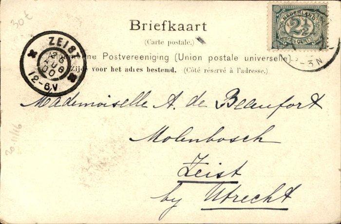 Nederland - Dorpen en steden mix - Ansichtkaart (275) -, Verzamelen, Ansichtkaarten | Buitenland