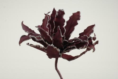 Cactus Ziggo Dark Red foam Cactus flower foam, Huis en Inrichting, Woonaccessoires | Kunstplanten en Kunstbloemen, Nieuw, Ophalen of Verzenden