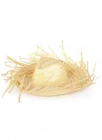 Hoed Gevlochten Rieten Strohoed Strooien Strandhoed Boer Str, Ophalen of Verzenden, Nieuw, Overige maten, Carnaval