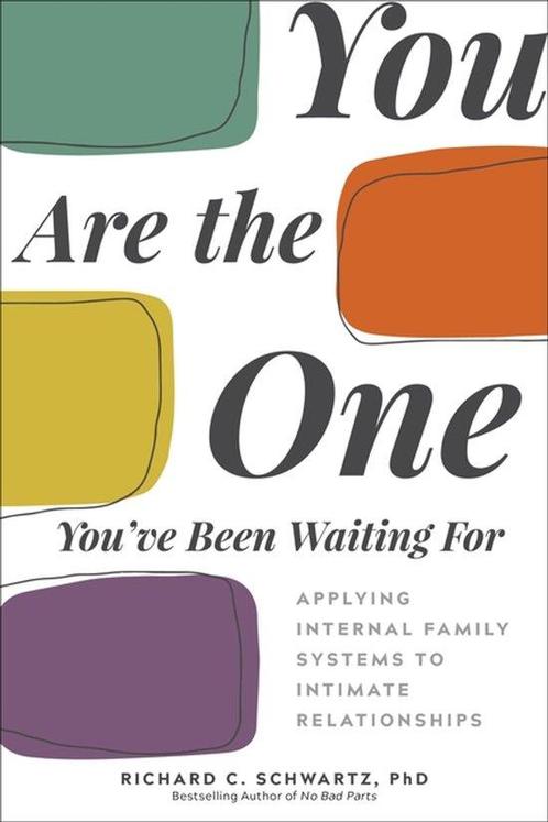 9781683643623 You Are the One Youve Been Waiting For, Boeken, Studieboeken en Cursussen, Nieuw, Verzenden
