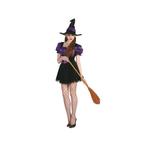 Sexy heksenjurkje paars met hoed - Heksen kleding, Kleding | Dames, Carnavalskleding en Feestkleding, Nieuw, Ophalen of Verzenden