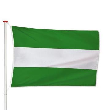 Vlag Rotterdam 40x60cm beschikbaar voor biedingen