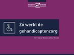 Zó werkt de gehandicaptenzorg 9789493004122, Gelezen, Verzenden, Gertrude van Driesten, Kees Wessels