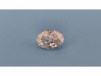 Veiling - Diamant oval 2.00 crt ( IGI gecertificeerd ), Sieraden, Tassen en Uiterlijk, Edelstenen, Nieuw