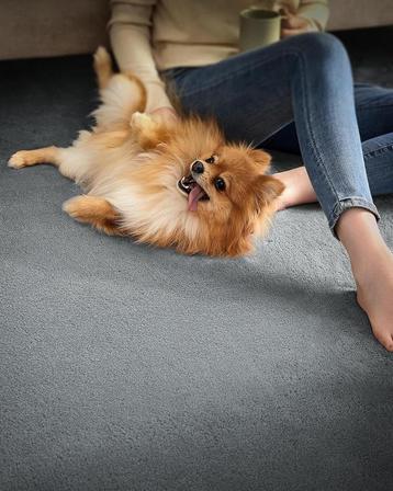 Vloerkleed 120x170 cm – antislip tapijt – wasbaar en beschikbaar voor biedingen