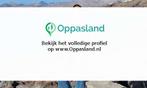 Ik ben Amparo, 53 jaar oud en ik zoek oppaswerk in Vianen., Diensten en Vakmensen, Dieren | Katten | Verzorging, Oppas en Les