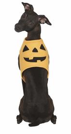 Halloween Dieren Kostuum Pompoen Mascotte, Nieuw, Verzenden