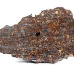 Leuk LL3 Snede van een meteorietchondriet Northwest Africa