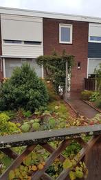 Te huur Kamer Flevolandstraat, Enschede, 10m², Huizen en Kamers, Huizen te huur, Direct bij eigenaar, Overijssel, Enschede, Appartement